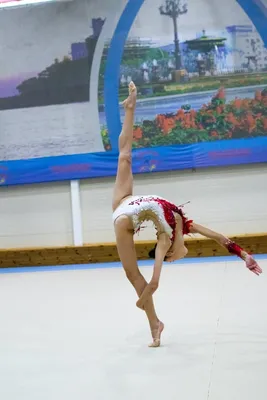 Гимнастки Хабаровского края сформировали сборную на чемпионат ДФО (ФОТО) -  AmurMedia картинки