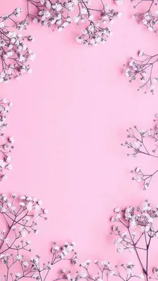 Обои цветочки | Wallpaper de iphone rosa, Papel de parede para iphone,  Papel de parede rosa картинки