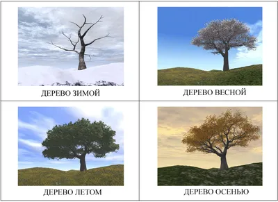 Времена года картинки для детей картинки