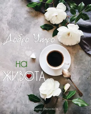 Добро Утро Архиви - Слънчо Обичкам Те - Добро утро от Слънчо | Good morning  coffee, Good morning beautiful, Good morning beautiful images картинки