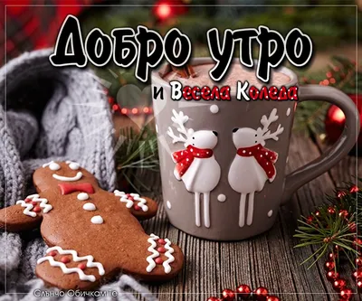 Добро утро и Весела Коледа на всички! | Gingerbread cookies, Gingerbread,  Christmas decorations картинки