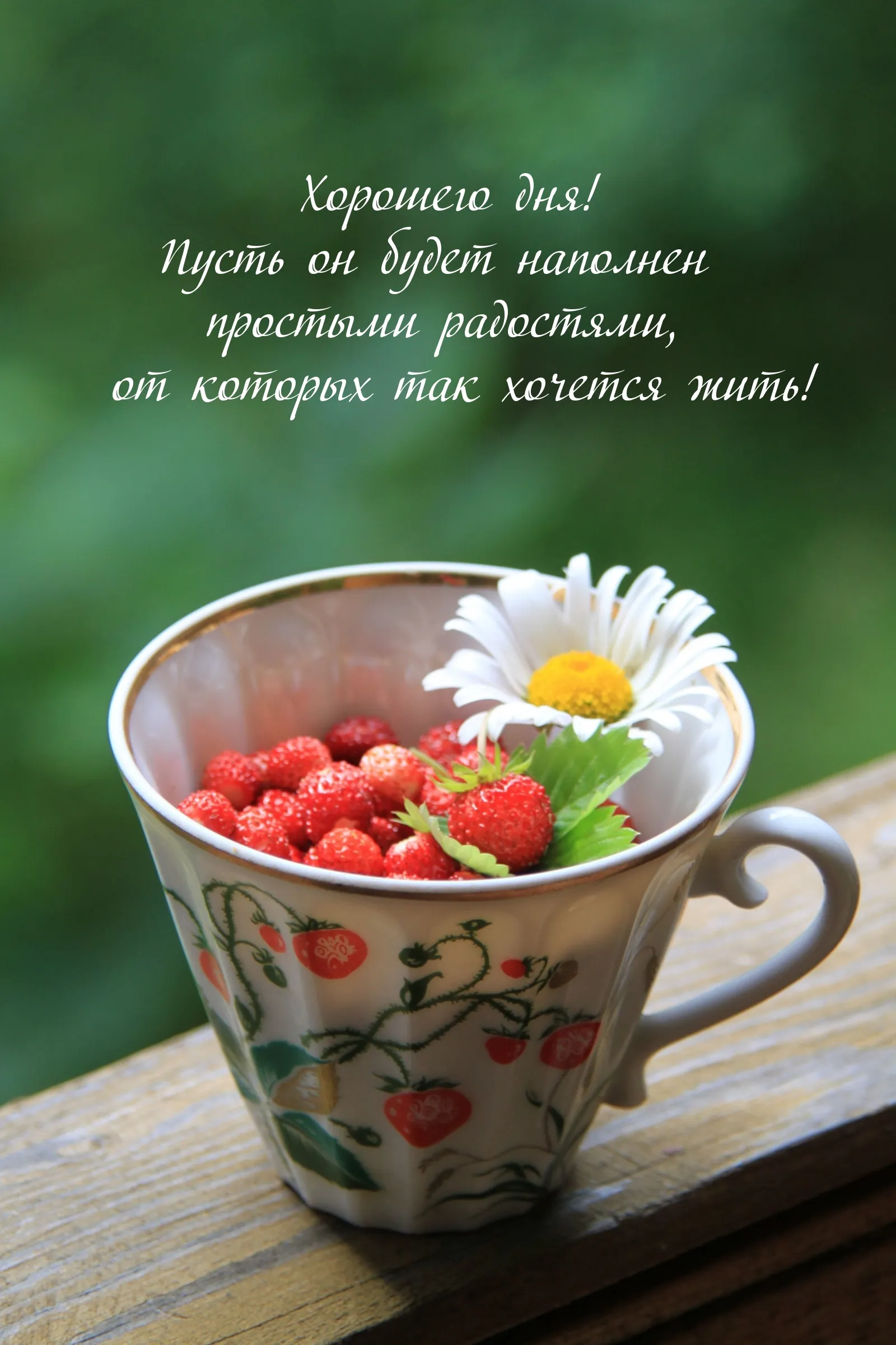 Доброго денечка картинка #449520 - Картинки с надписями \ - скачать