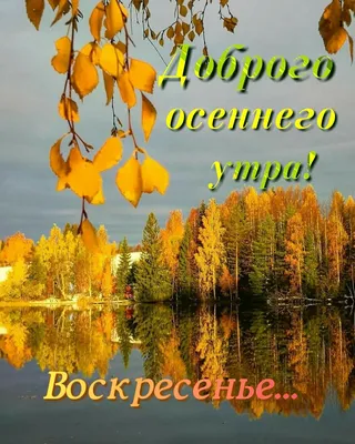 Доброго осеннего утра! | Доброе утро, Воскресенье, Утро воскресенья картинки