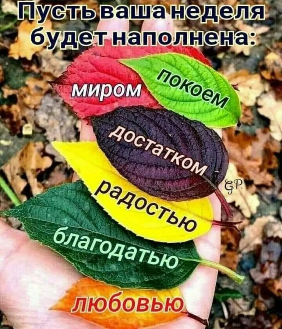 С добрым утром юра