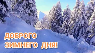 Добрый зимний день🤗☃️❄️ Хорошего Дня и Отличного Настроения🍀💞  Музыкальная открытка Добрый День💖 - YouTube картинки