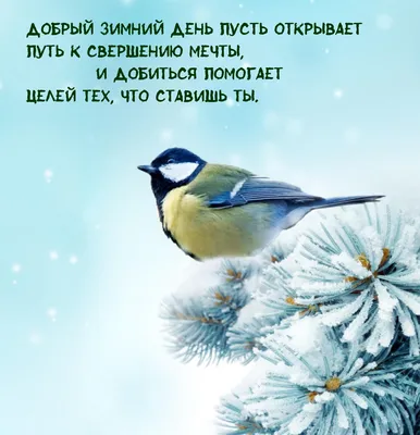 Картинки с надписями. Добрый зимний день пусть открывает путь к свершению  мечты. картинки
