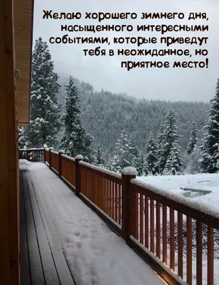 Тема: «Встреча зимы» Добрый зимний день! �� Сегодня мы встречаем зиму картинки