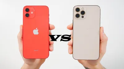 Сравнение iPhone 12 vs iPhone 12 Pro: цена, дизайн, процессор  производительность и другие характеристики картинки