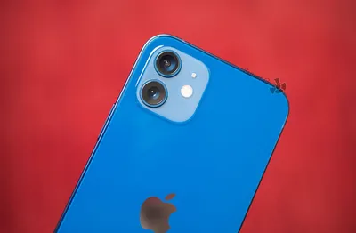 Сравнение камеры iPhone 12 и iPhone 11 — насколько новинка лучше снимает -  Super G картинки