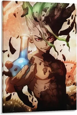 Amazon.co.jp: Аниме Dr.Stone Senku Ishigami Poster Изысканная иллюстрация Украшение плаката Живопись Современная печать Холст Картина Украшение комнаты Картина 20x30 дюймов (50x75 см) : Главная \u0026 Кухня картинки