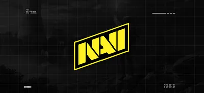 NAVI распустили состав по PUBG Mobile - Natus Vincere картинки