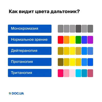 Дальтонизм: вопросы и ответы картинки