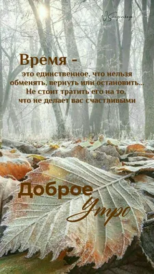 Идеи на тему «Доброе осеннее утро» (560) | доброе утро, осень, утренние  цитаты картинки