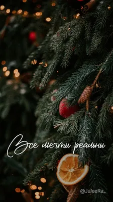 Зимние картинки. Уютные цитаты. Обои на телефон. Идеи сторис. | Christmas  wallpaper, Christmas wallpaper backgrounds, Christmas phone wallpaper картинки