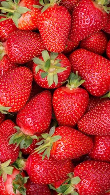 Background from freshly harvested strawberries, directly above. #strawberry  #background #fresh #food #tasty | Фотография фруктов, Фруктовые композиции,  Ягоды картинки