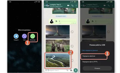 Как с Ватсапа скинуть фото на компьютер: пошаговая инструкция картинки