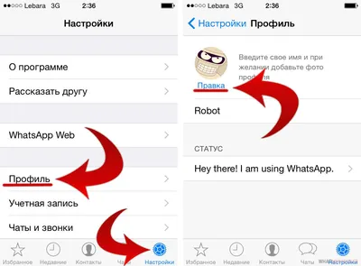 Как поменять фото в WhatsApp картинки