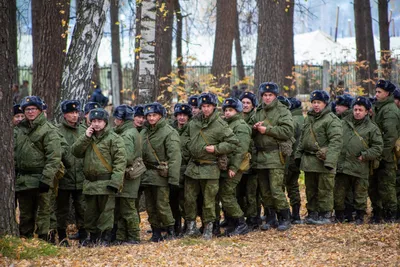 Добровольцы на СВО получат статус ветеранов боевых действий картинки