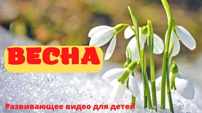 ВЕСНА! 🌱Рассказ про ВЕСНУ для детей. Русская весна. Развивающее видео для  детей - YouTube картинки