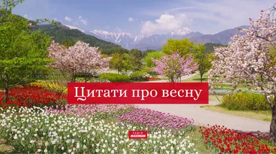 Цитати про весну: підбірка фраз, висловів і афоризм про весну - Радіо  Незламних картинки