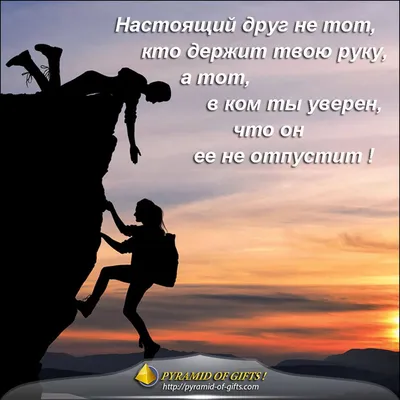 Пин на доске Цитаты, афоризмы, анекдоты, тосты, смешные и философские мысли картинки