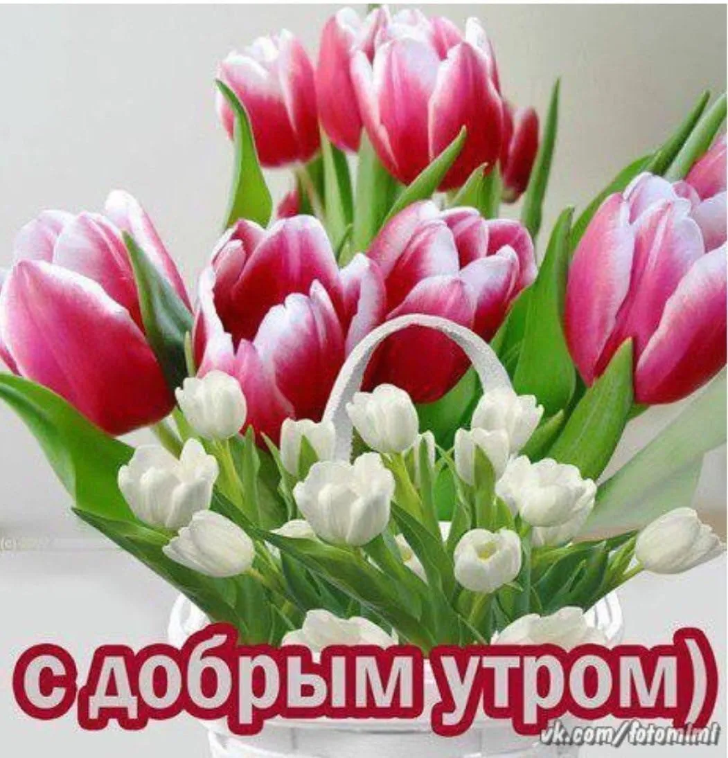 Доброго весеннего четверга картинки