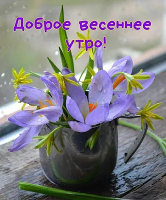 🌷НАТАЛИ🌷 on Twitter: \ картинки