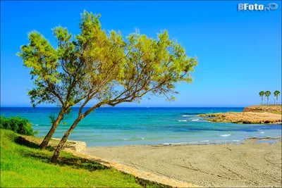 🇪🇸 ☀️ Фото Испании, летний пейзаж с морем и пляжем на фотообои большого  размера картинки