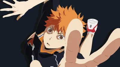 100+ HD-обоев Shōyō Hinata и Hintergründe картинки