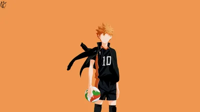 100+ HD-обоев Shōyō Hinata и Hintergründe картинки