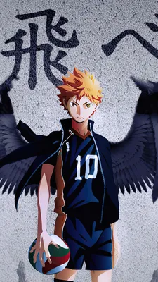 1394201 Haikyuu, Anime, Shoyo Hinata - Редкая галерея HD обои картинки