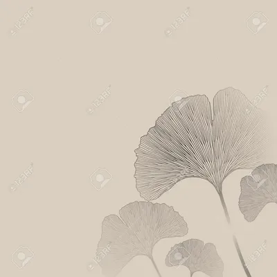 Орнамент Ginko Blätter Blumen Impressum. Бесшовные обои Innenraum Lizenzfrei Nutzbare SVG, векторная графика, картинки, иллюстрации. Изображение 47831981. картинки