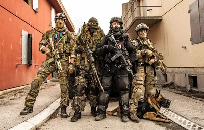 Обои оружие, собака, Norwegian Special Forces картинки на рабочий стол,  раздел мужчины - скачать картинки