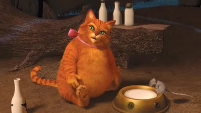 Обои шрек, кот из шрека, shrek, the cat from shrek для рабочего стола #5904 картинки