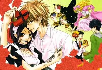 Kaichou wa Maid sama!, Аюдзава Мисаки, Усуи Такуми Обои HD / Обои для рабочего стола и мобильного телефона картинки