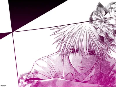 Аниме тапэн kaichou wa maid-sama! takumi usui короткие волосы обои монохромный мальчик 1024x768 143733 de картинки