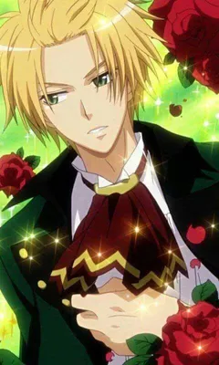 Скачать обои Kaichou Wa Maid Sama Usui Takumi картинки