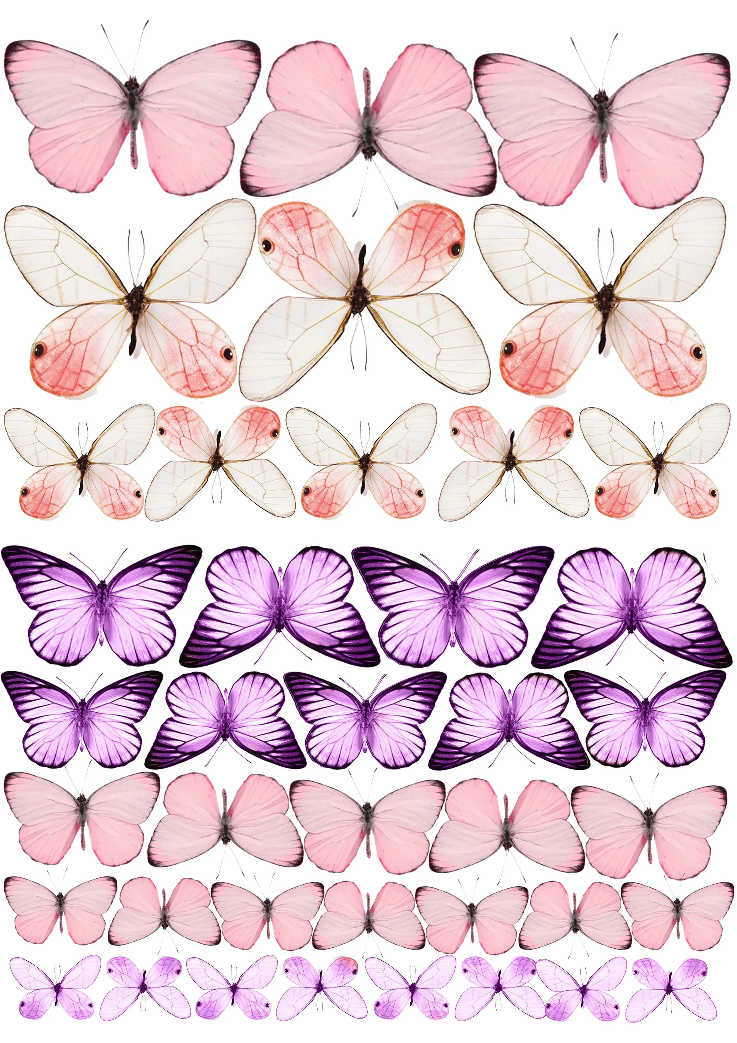Вафельная картинка бабочки нежно розовые