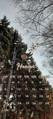 🍂 Обои на телефон. Ноябрь 2021 год :) 🍁 | Зимние картинки, Обои,  Фотоальбом обложки картинки