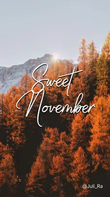 Осенние картинки. Обои для телефона. Сладкий ноябрь | Cute fall wallpaper,  Sweet november, Beach photography картинки