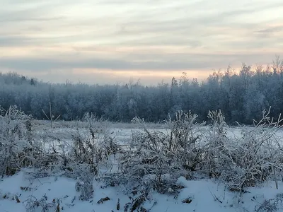 Первый день зимы - фото автора стихиЯ на сайте Сергиев.ru картинки