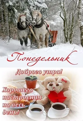 ❄️☃️❄️🎀❄️☃️❄️ Понедельник | Доброе утро, Новогодние пожелания, Утренние  цитаты картинки