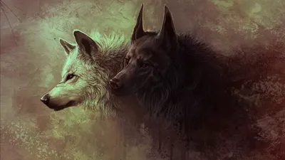 2560x1440 Wolf Art 1440P Разрешение HD 4k Обои, изображения, фоны, фото и картинки картинки