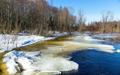 Картинка Ранняя весна на реке » Весна » Природа » Картинки 24 - скачать  картинки бесплатно картинки