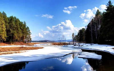 Картинка Ранняя весна на таежной реке » Весна » Природа » Картинки 24 -  скачать картинки бесплатно картинки