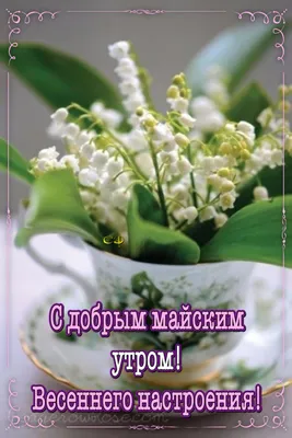 Пин от пользователя Светлана на доске С добрым утром | Доброе утро,  Открытки, Весна цветение картинки