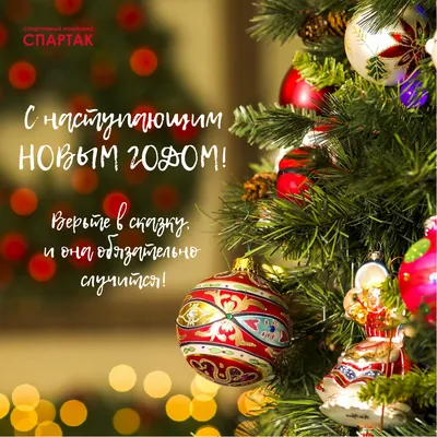 C наступающим Новым годом! - Новости - Спартак СК картинки