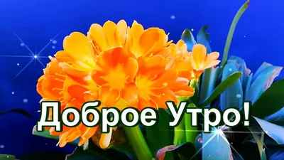 Самого доброго утра! Самого лучшего дня!\ картинки