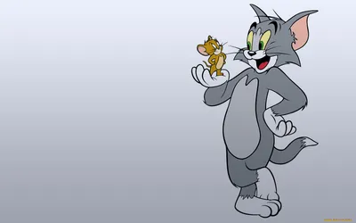 Обои Том и Джерри Мультфильмы Tom And Jerry, обои для рабочего стола,  фотографии том, джерри, мультфильмы, tom, and, jerry, и Обои для рабочего  стола, скачать обои картинки заставки на рабочий стол. картинки