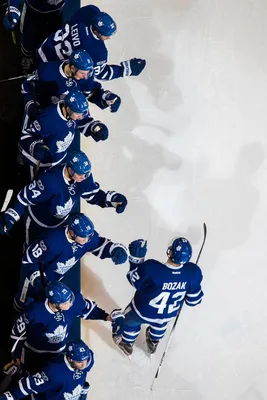 Пин от пользователя Toronto Maple Leafs на доске Top Shelf Shots | Хоккей,  Хоккеисты, Торонто картинки